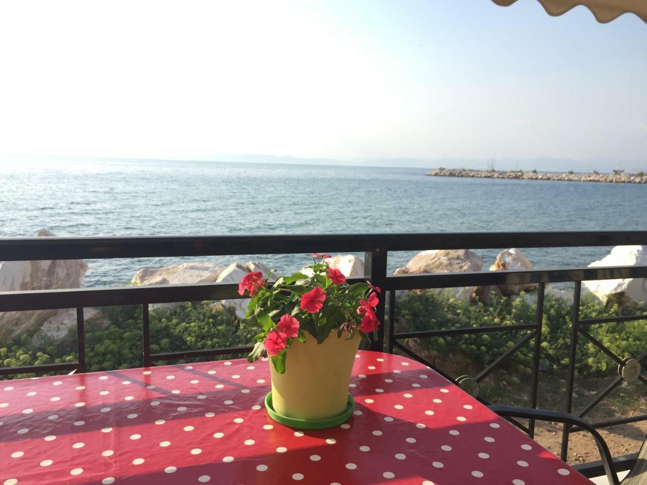 Kallisti Apartment Skála Kallirákhis Екстериор снимка